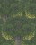 aff066741c62fa2997ce250a97dae5c9