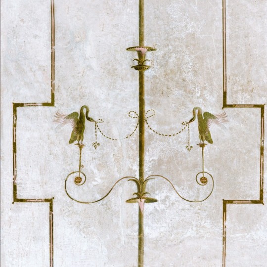 Tapeta Mind the Gap WP20199 THE SWAN