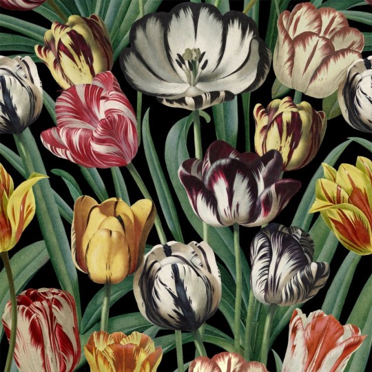 Tapeta Mind the Gap WP20178 TULIPA