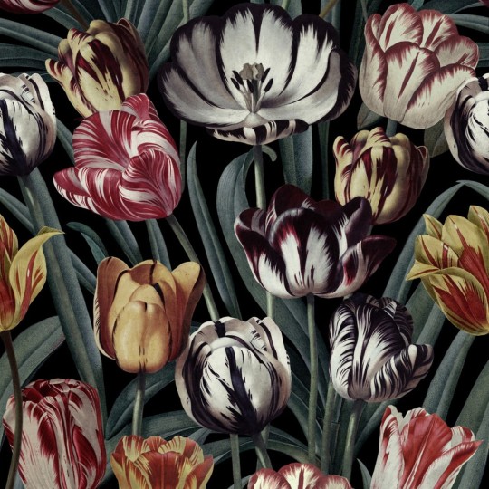 Tapeta Mind the Gap WP20177 TULIPA