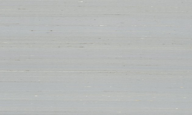 Arte 87201 Kami Dupion Pigeon - tapeta jedwabna