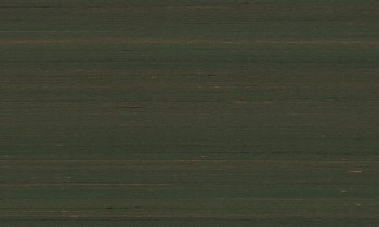 5f52054040ccae314486e56e77e6ba8b
