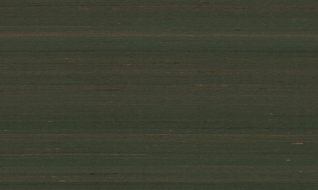 Arte 87210 Kami Dupion Umber - tapeta jedwabna