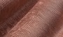 c51a0ed39ca1fc6770d1d5d7aed3f518