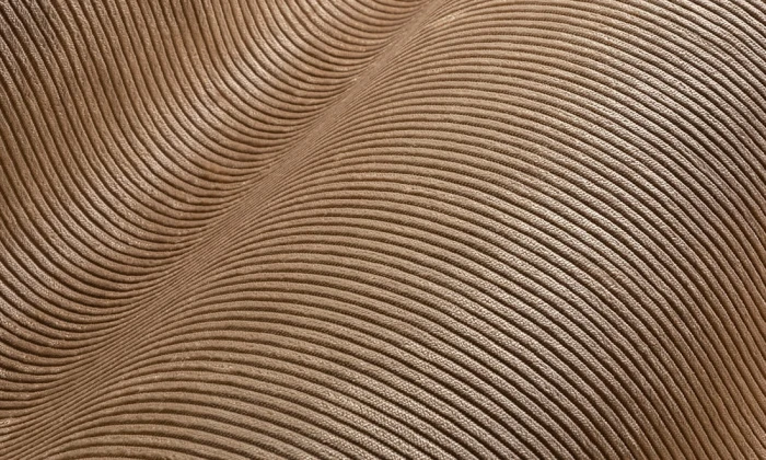 38d0593332d3b0036c18c7fb0dcc42fa
