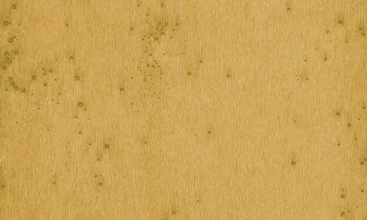 c1584729469890b6ba0b962c08ba3d61