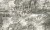 31532-ANYN.jpg
