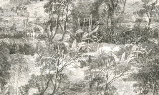 Tapeta Arte Avalon 31531 Glade