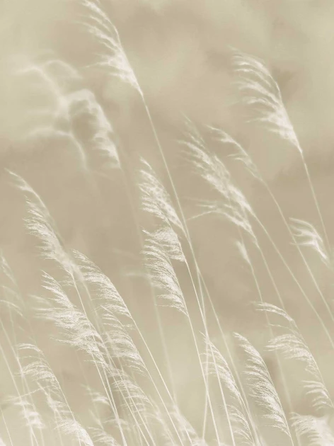 Tapeta Eijffinger Waterfront 300900