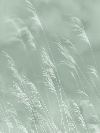 Tapeta Eijffinger Waterfront 300901