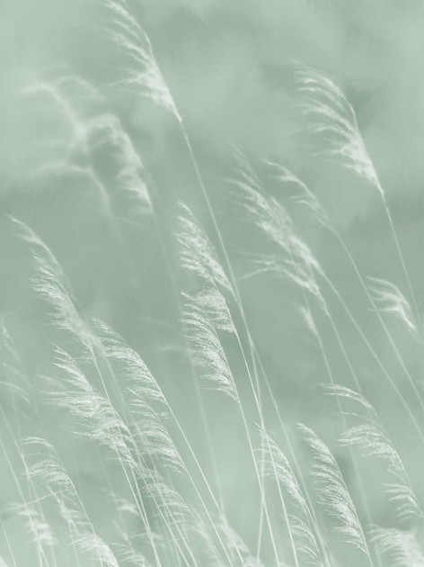 Tapeta Eijffinger Waterfront 300901