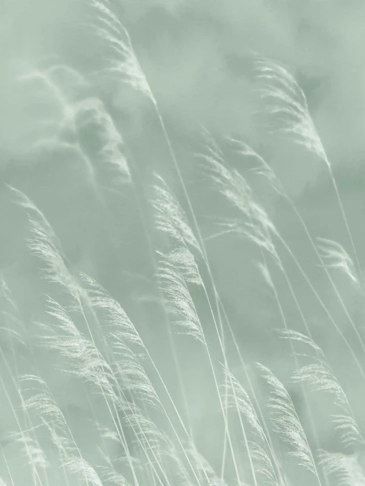 2c742ec8afcf75286fea13a6e86faa27