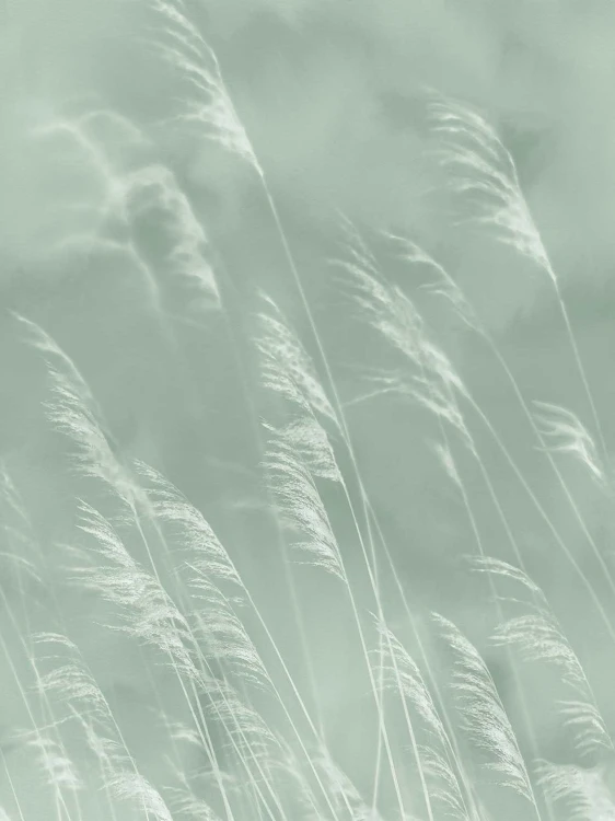2c742ec8afcf75286fea13a6e86faa27