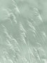 2c742ec8afcf75286fea13a6e86faa27