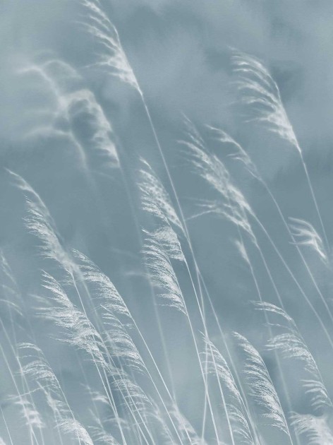 Tapeta Eijffinger Waterfront 300902