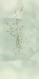 dc5bffa2b7f888f9870f4de154d19cc4