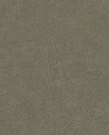 Tapeta Eijffinger Skin 300514