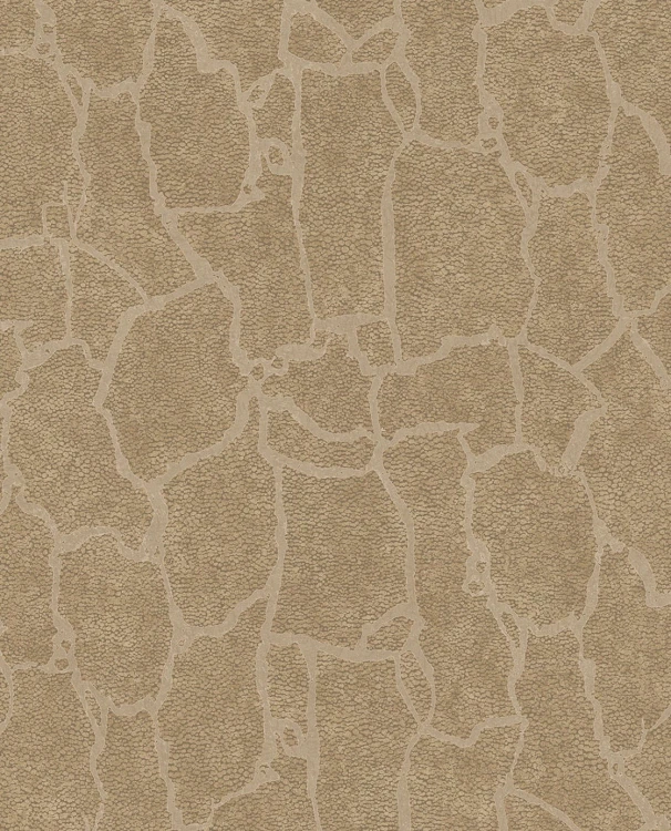 bcca3289529c8ce6f59d8813340b00ec