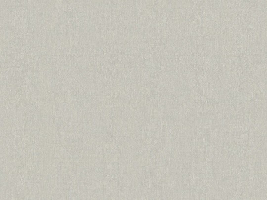 Tapeta BN Zen 218696