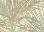36b4b80d8746c709c144bb9fe283425f