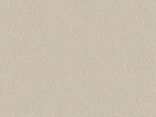 Tapeta BN Zen 220261
