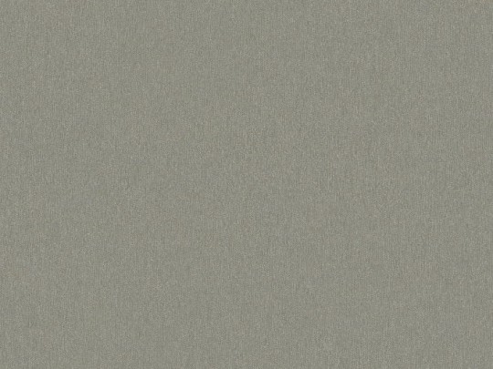 Tapeta BN Zen 220263