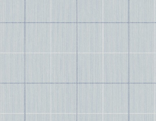 Tapeta Wallquest Tailor Made YM30912 String on Window Pane Check