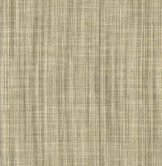 Tapeta Wallquest Tailor Made YM30816 String on Birch Texture