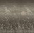 3f307e24ab516160ee7ac6fee1ccba3c