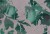 c88b0c8dc2609dc19eaac281b1e5f467