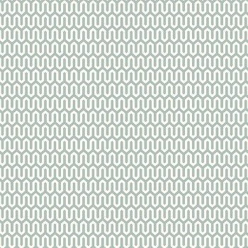 df81dd317606105a9048634f1ec6c15f