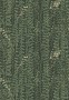 8462c1fd06076b6f5e2708f8de53e536