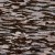 34b0455c806de59ae6f9f8d5747712d8
