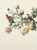 4b1aba58223e49073e16a31c2ad92c3c