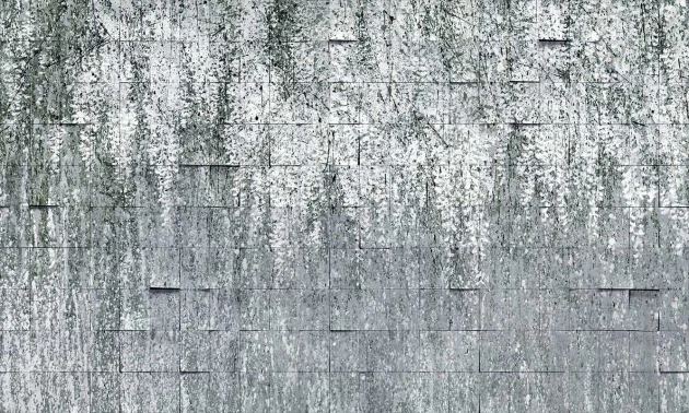 Mural Wonderwall Style Story 35 0796 01 Allure