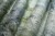cdefcdfcebc6cc0e020600ef1abdf5bc