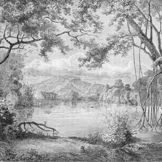 Mural Inkiostro Bianco Vanity INKFMWN1601