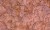 5b6b5fc2f7cb9ac0feda6581cac377dd