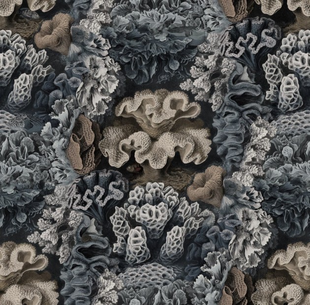 Tapeta Rebel Walls Oddity Aquila, Teal R17483