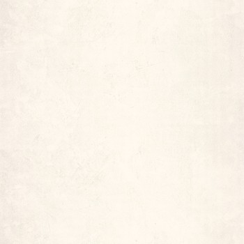 ba8ca59ecbbabb5c5c37157c1c84a8b6