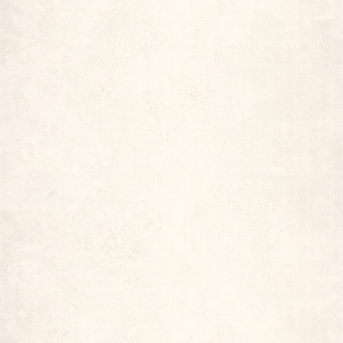 ba8ca59ecbbabb5c5c37157c1c84a8b6