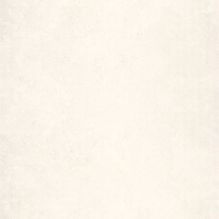 ba8ca59ecbbabb5c5c37157c1c84a8b6