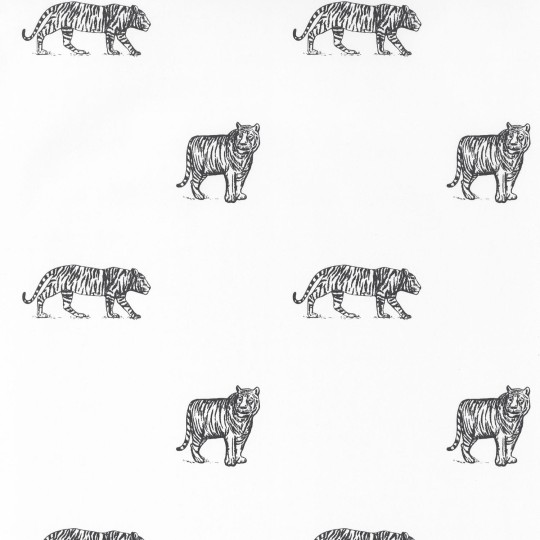 Tapeta Caselio Our planet OUP 10196 99 16 Eye Of The Tiger