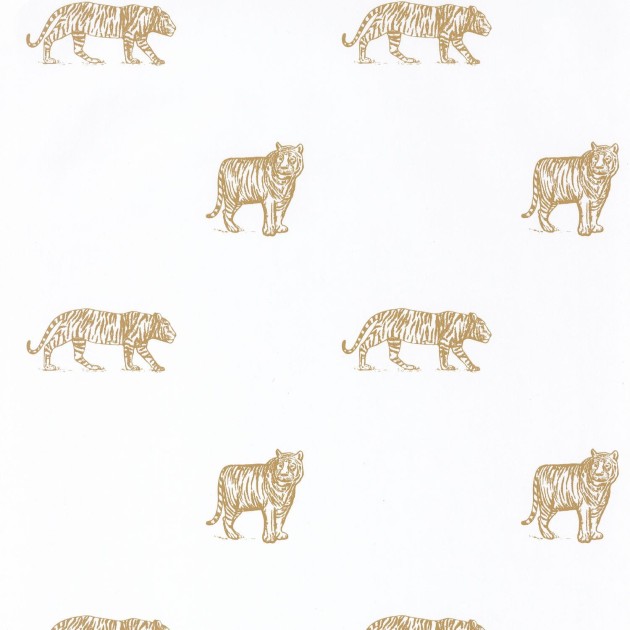Tapeta Caselio Our planet OUP 10196 21 05 Eye Of The Tiger