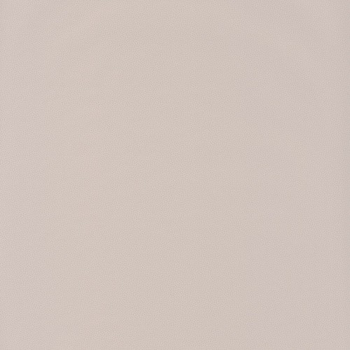 2445a00efcaf10814947f598e26c56a9