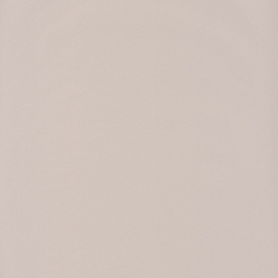 Tapeta Caselio Hanami HAN100401010 Goma