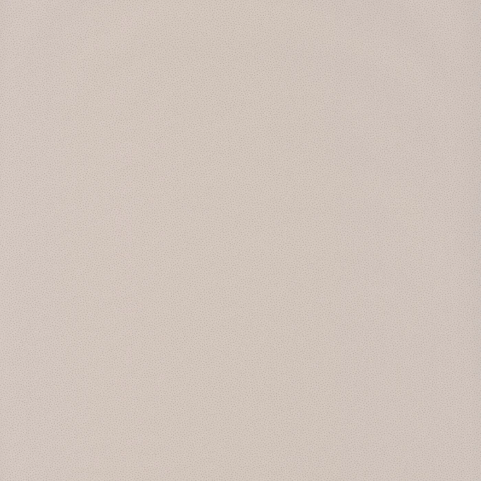 2445a00efcaf10814947f598e26c56a9