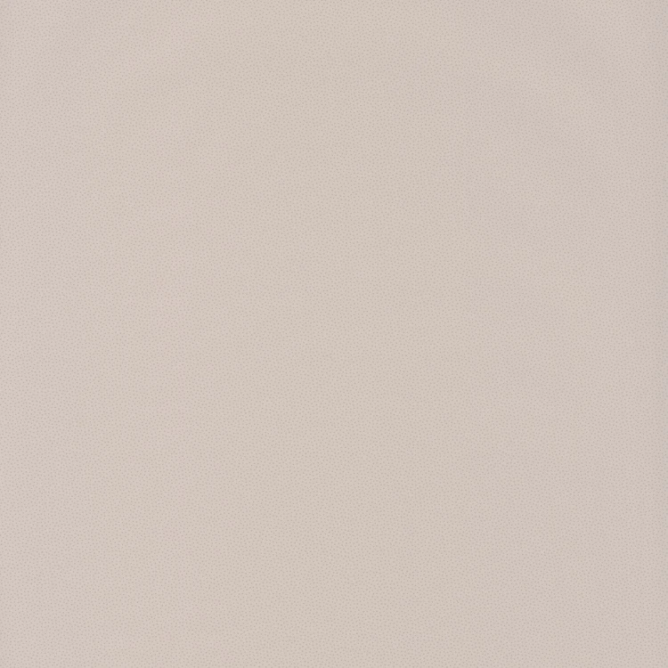 2445a00efcaf10814947f598e26c56a9