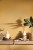 e05fe275681842e4b9f162476ae56b1b