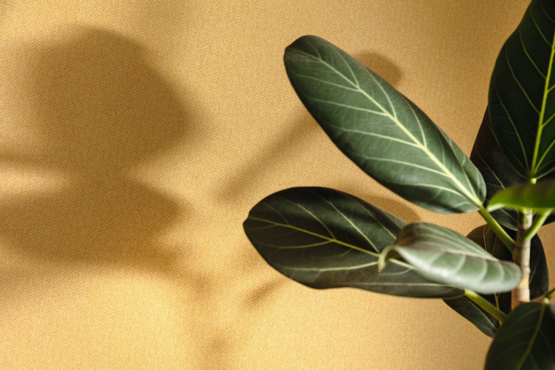 Tapeta Caselio Chevron CVR 10222 19 90 Uni